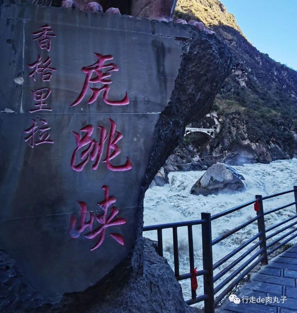 公主的阅读区