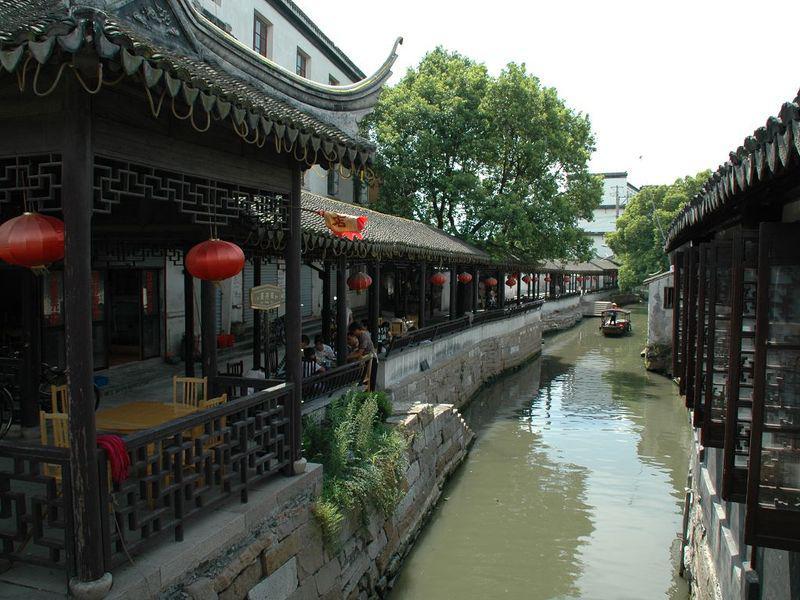 救援快乐的兔子